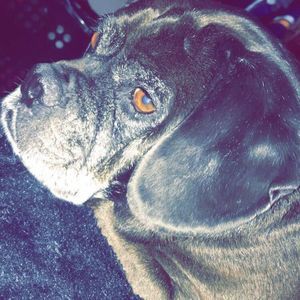 Meet your Posher, Ethan